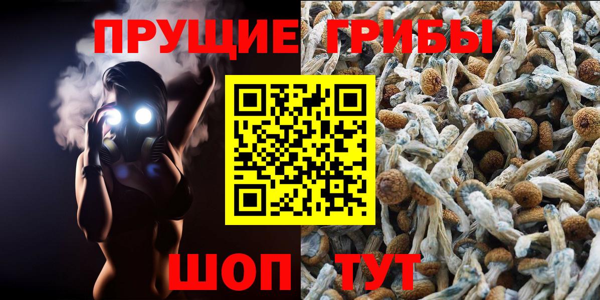 Галлюциногенные грибы GOLDEN TEACHER Гудермес